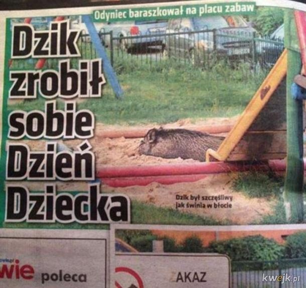 155c9c74-0d3e-4993-9663-2c38f7f3b88d