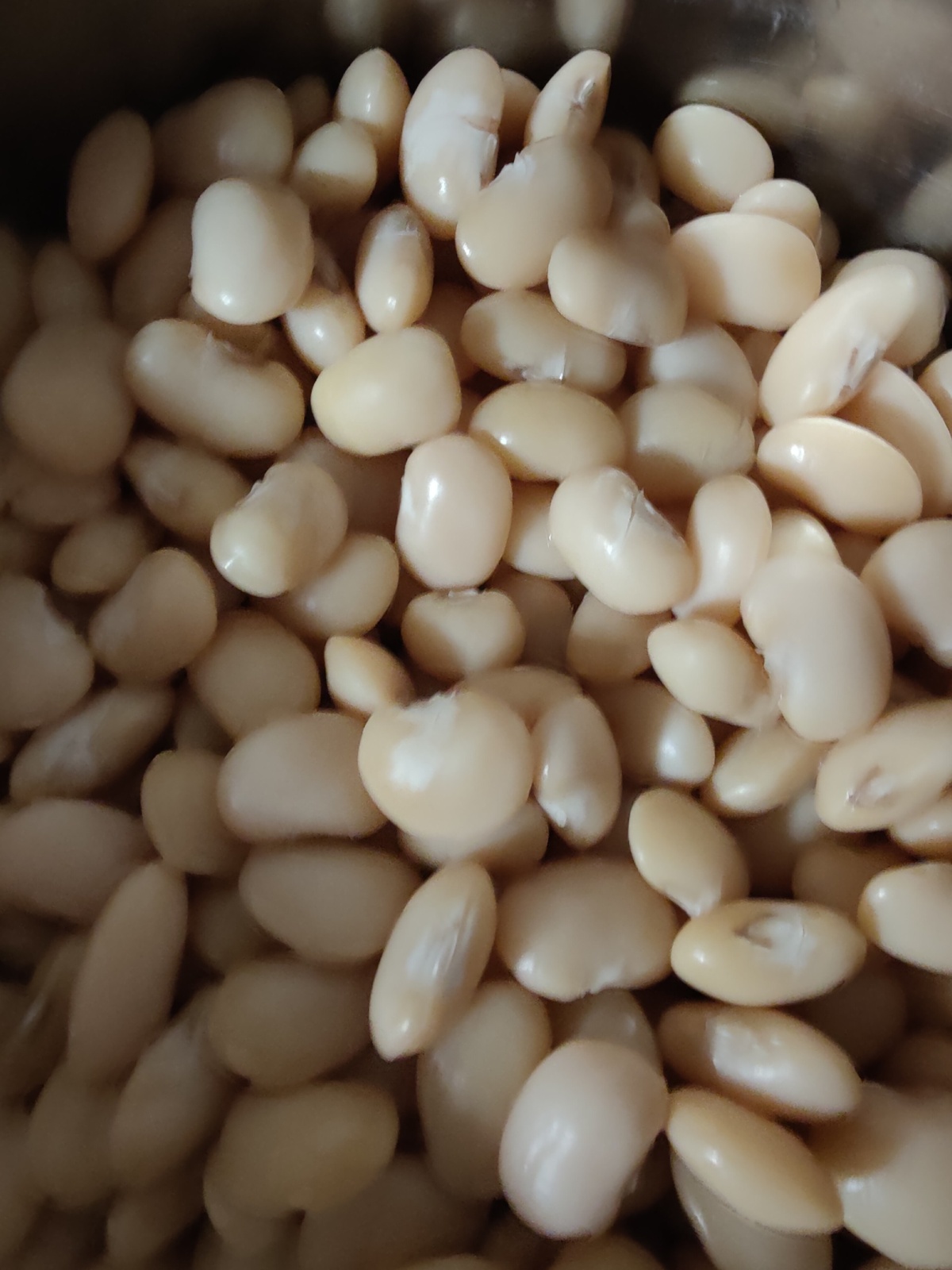 bbe15f06-97e3-4201-9a23-eb8fce5c39b5