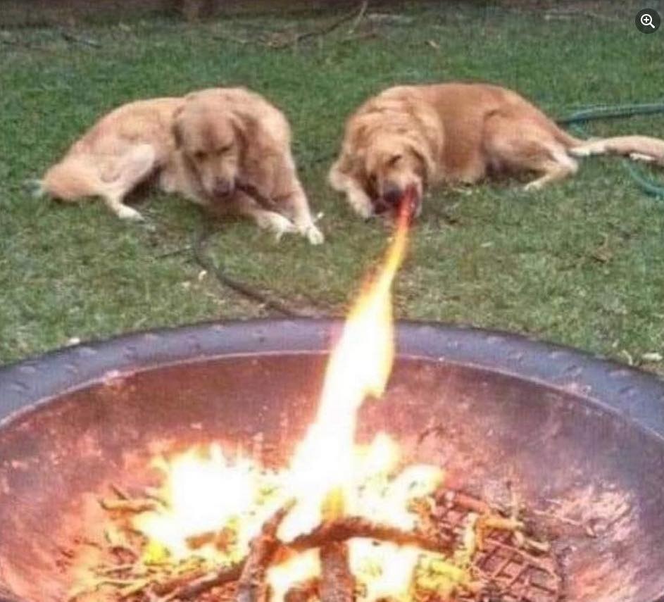 c41cbf80-cdde-4039-989d-1ba775a4bb1e