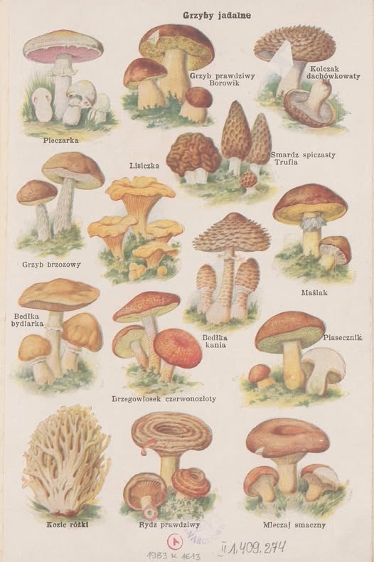 1fcae96b-4fcb-4b27-9256-887e068d0adb