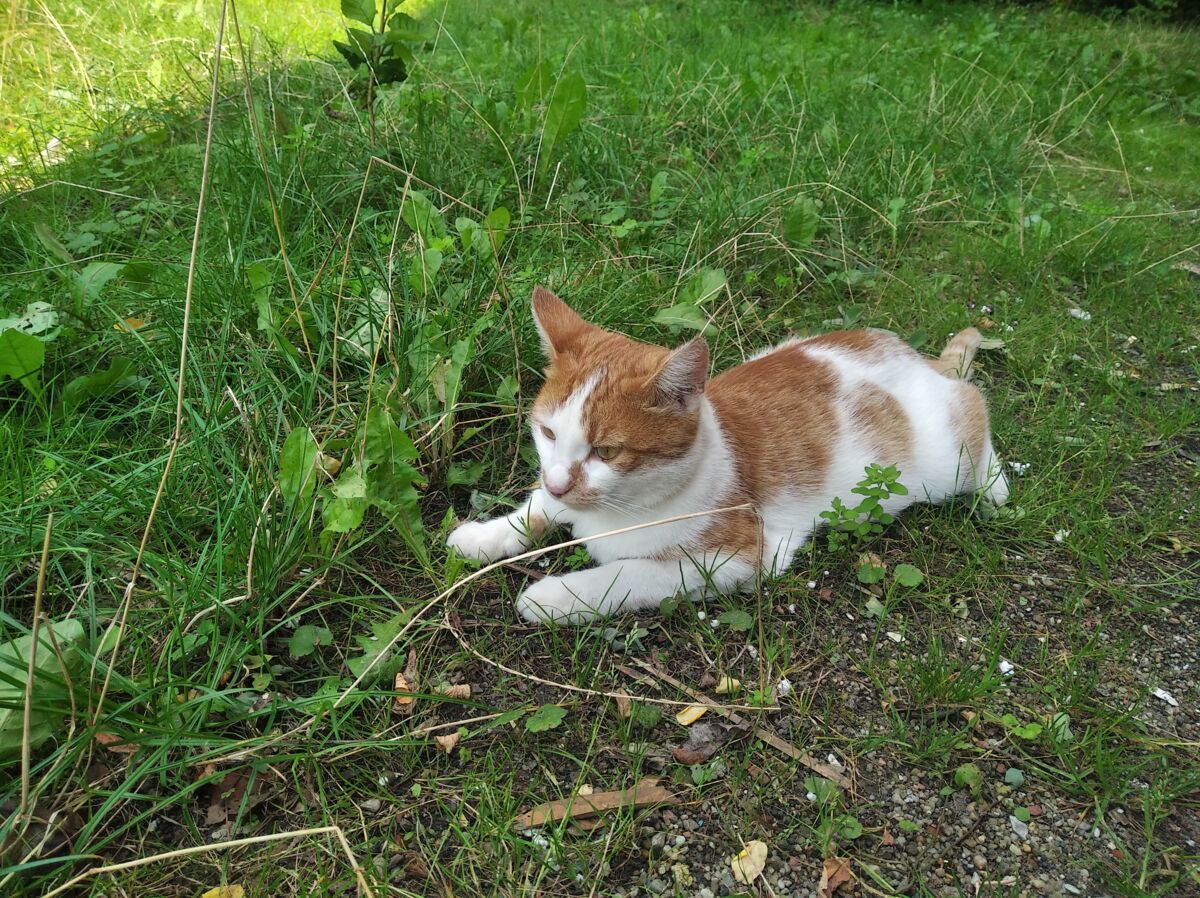 c6c6cbfd-0e8c-423f-94ef-5779c9773794