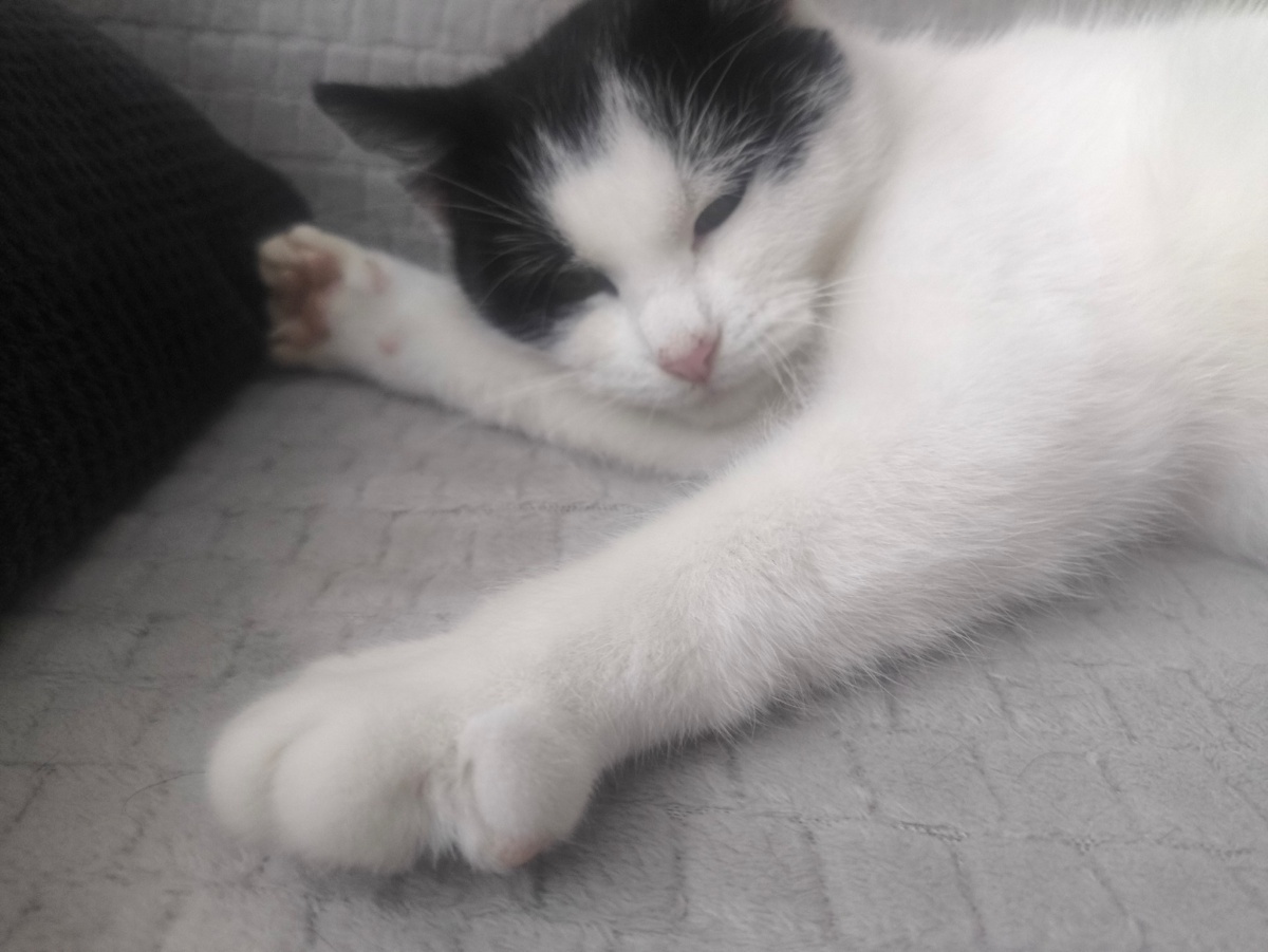 8299ca83-1eba-43a0-93e4-cf86aee8d829