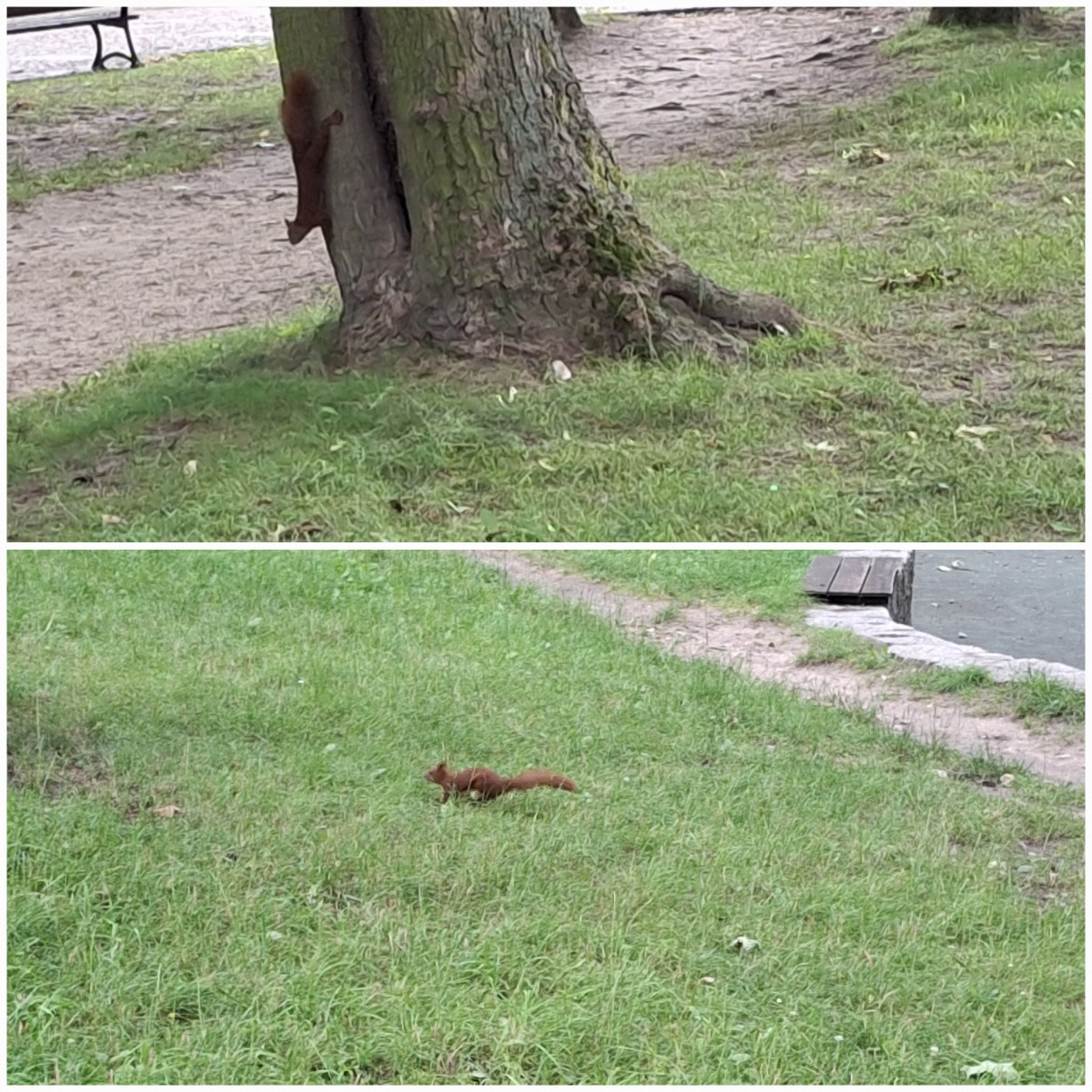 9f7b2c70-1bd0-447b-9bba-065fb15c1f5f