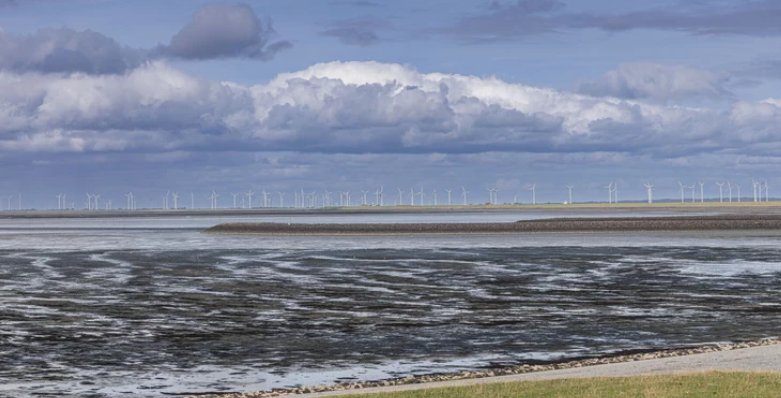 Chude czasy dla wiatraków na morzu. "To podcięło skrzydła inwestorom"
