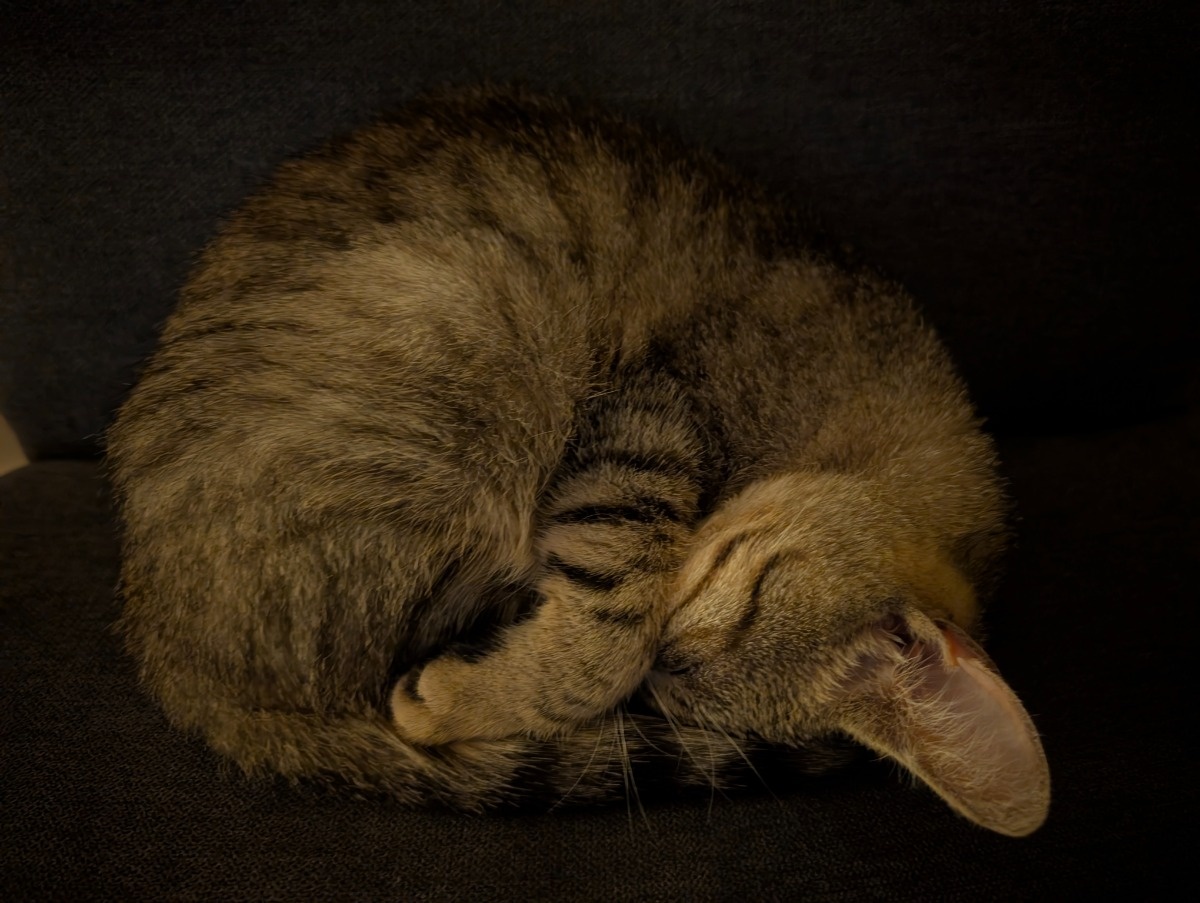 00e86cc7-3a68-4674-843d-221e32cbbf1d