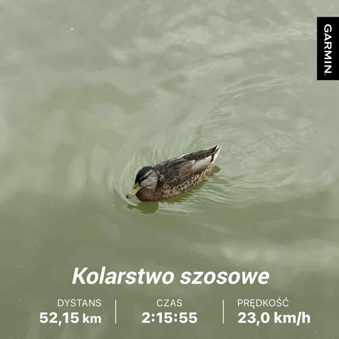 70623eab-9398-48eb-9b03-df2697ff1473