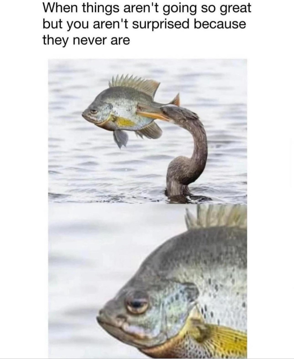 6f59f1bd-ac70-469c-9011-6167c6dd17e9