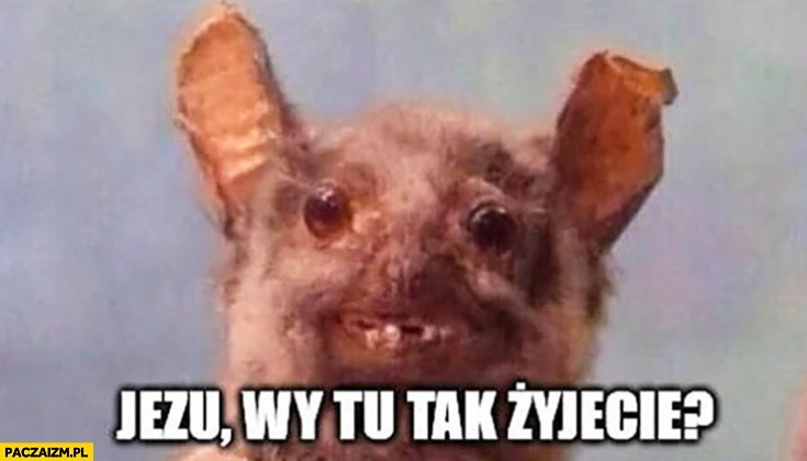 7e9beff4-e10a-4a35-b496-ce9a70552bcd