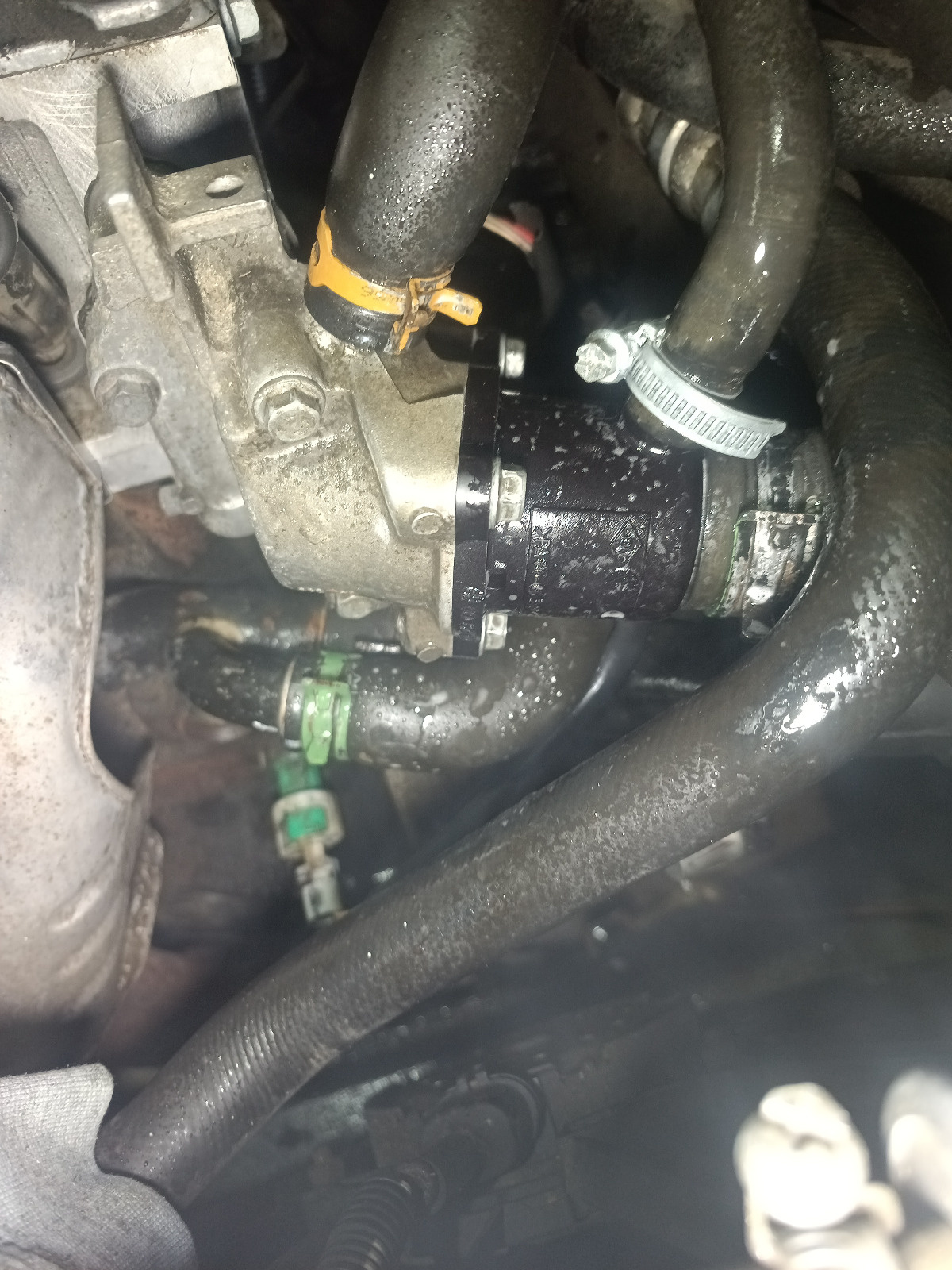 3e54eee1-373b-4c79-ab85-d37d7a42883b