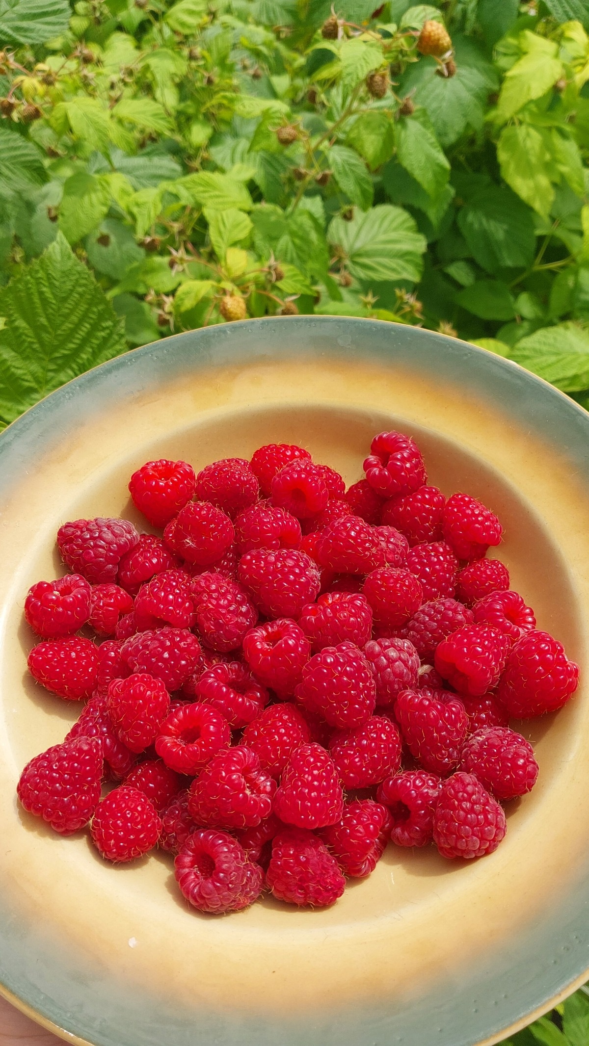 5ee87633-34ac-409a-8ae2-512993e8c22b