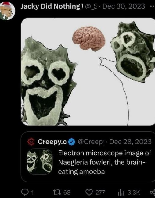 19af72bd-9db7-48d2-9773-c0188e531556