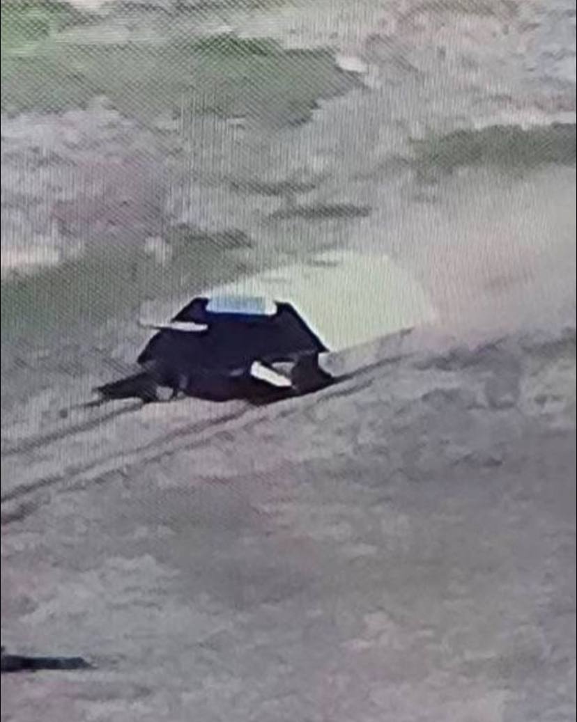 1f199c49-1110-4c6e-994f-d804bde9c2e0