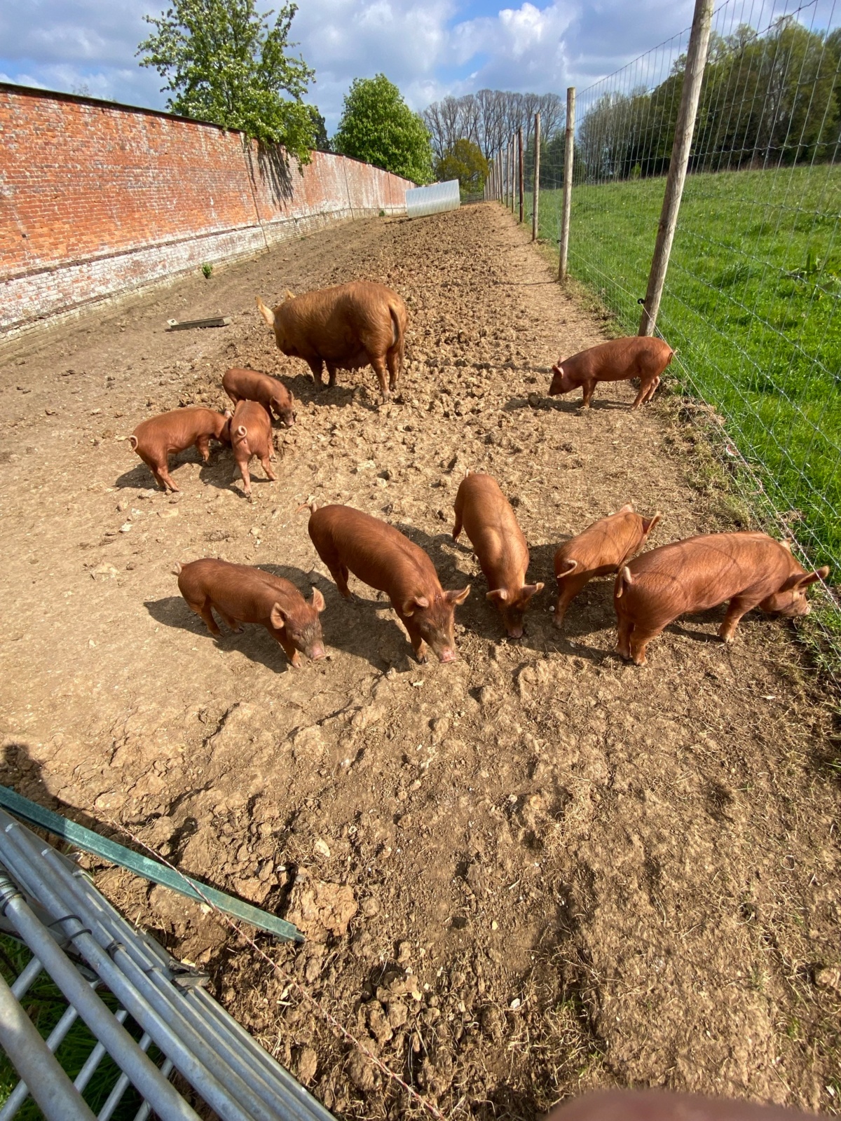 4b8b1c6f-f37d-4895-9329-57722e37f4da