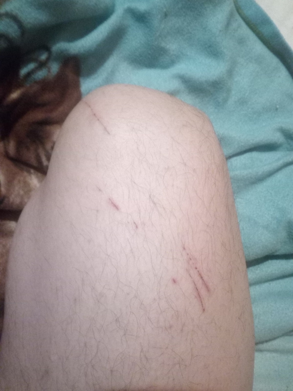 af9190f2-d104-4d13-974e-aa9c885c2279