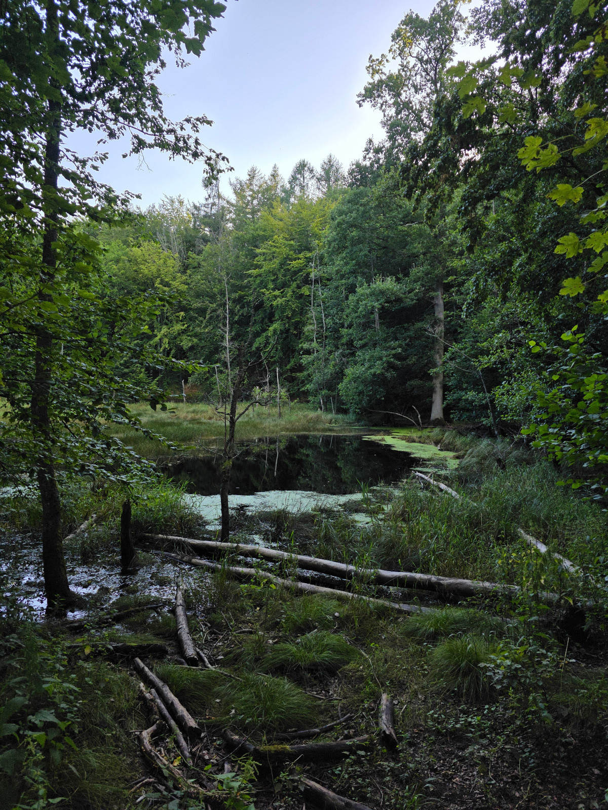 3aac8d15-ceaa-4955-9888-009da3b44188