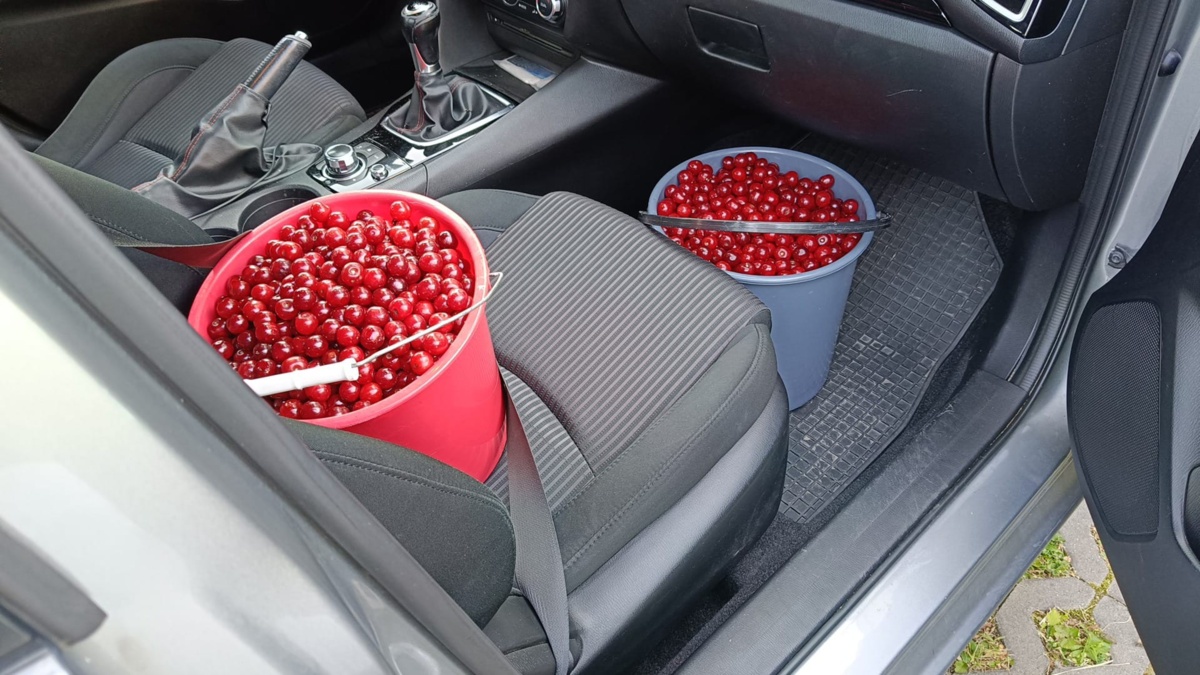 ffaa5040-fda5-46a2-8a69-b57bde8cc740