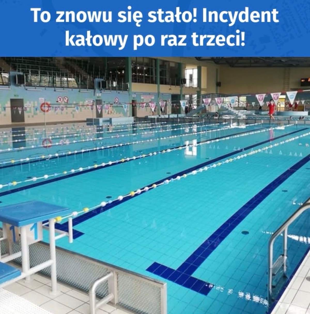 2dd65525-f1e0-4154-b746-b7b23a15b808