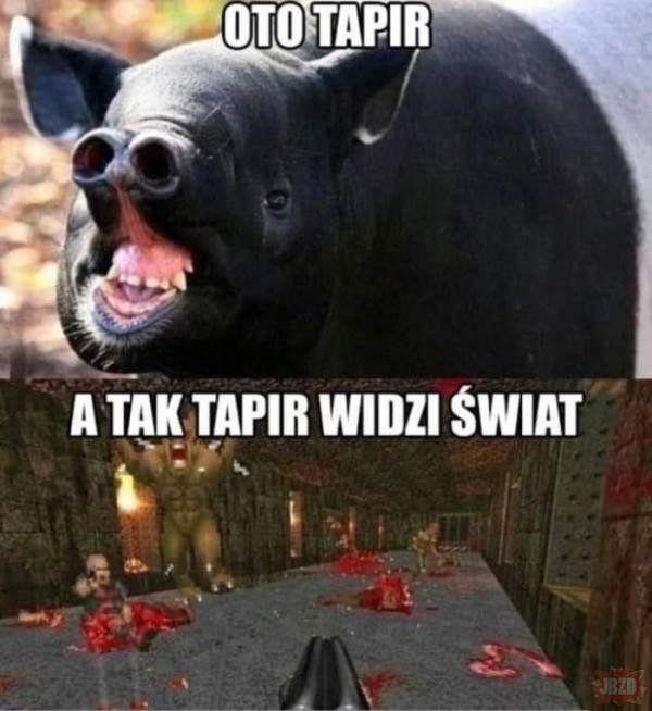 47fcb844-416c-4fc3-8318-6e9eb5f1cd1a