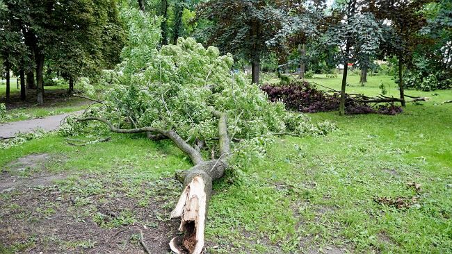 Ewakuacja 318 osób z obozu harcerskiego w Czernicy po burzy, która przewracała kajaki i niszczyła namioty