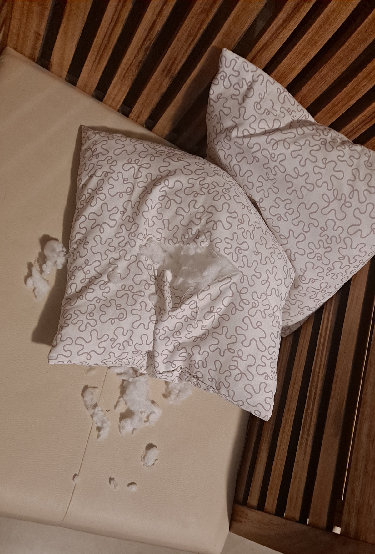 f17e9259-71fc-459a-9be5-f3be182fab37