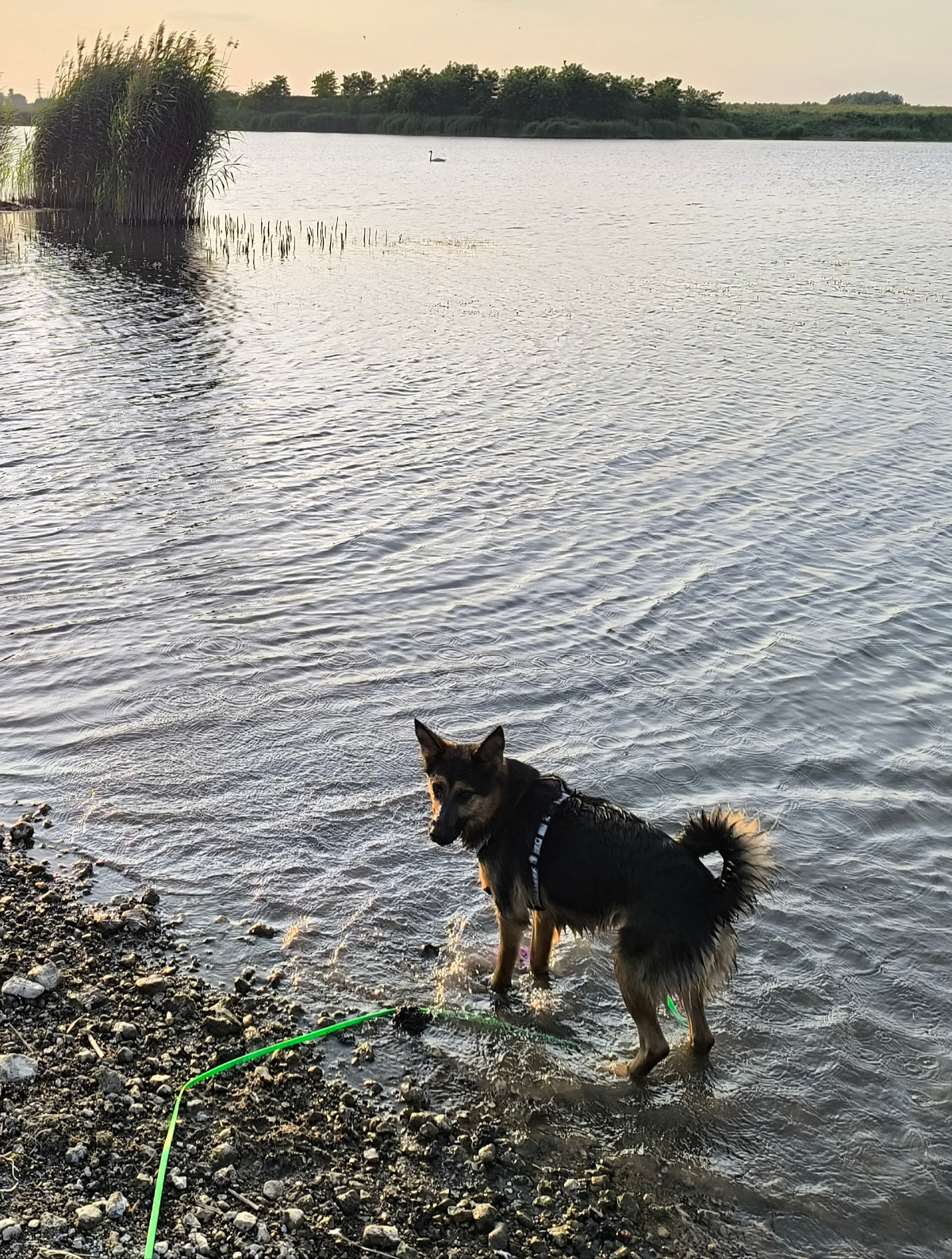 cb04d026-936b-46eb-8100-90fe10b2ae08