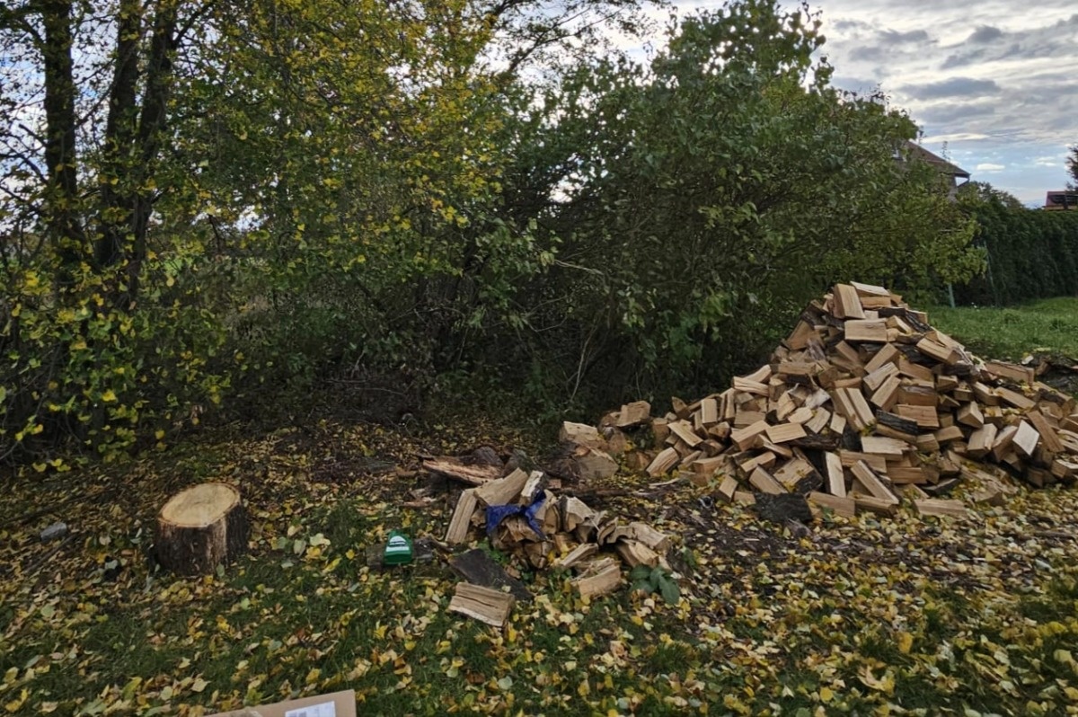 2c955d63-b3b0-4803-894f-675904dcff81