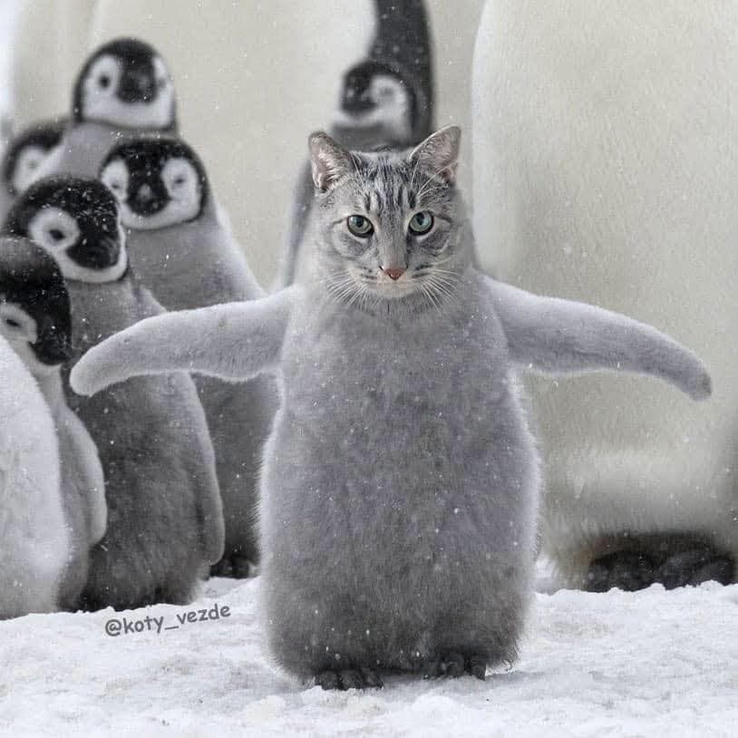 f40071fc-7c9b-4965-9ce0-8285a9195b7a