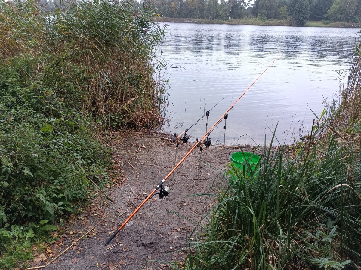 eec7fe22-789f-47e5-8a3e-91d53296eaf0