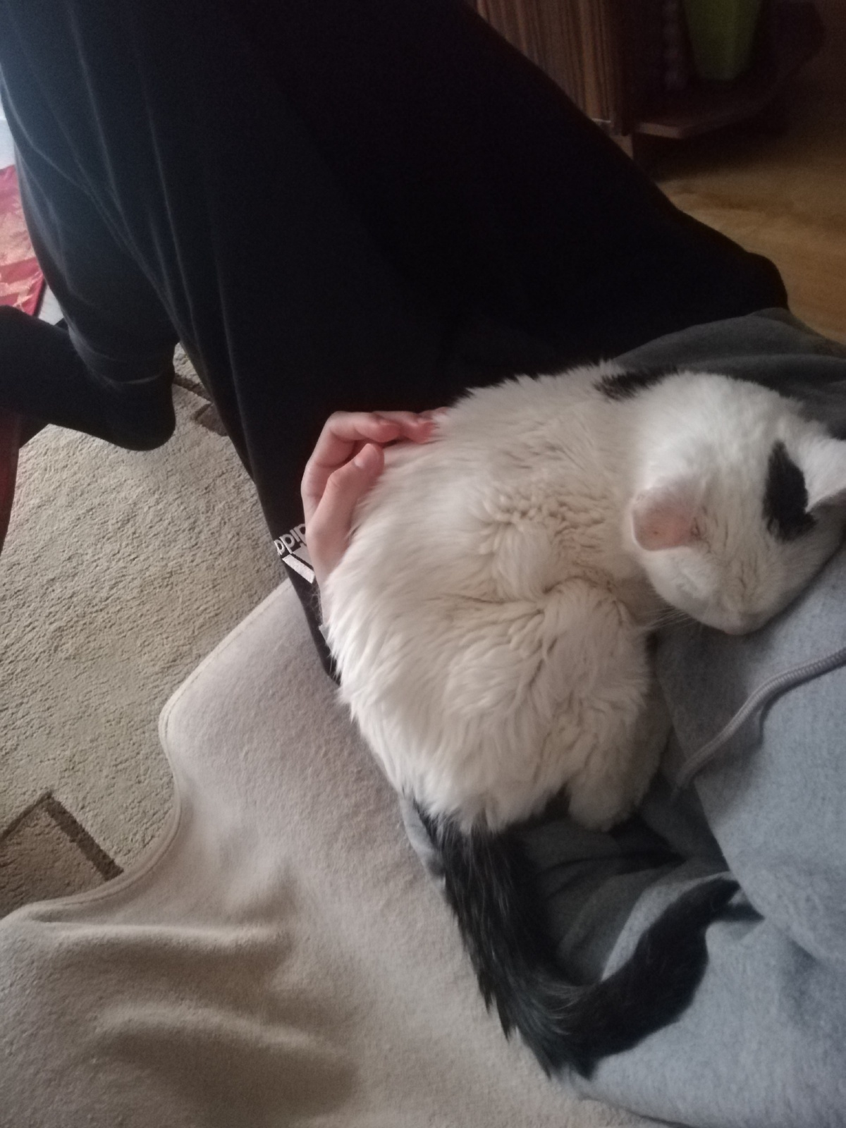 82e2be91-7cbb-47ea-9484-82ed2e29806c