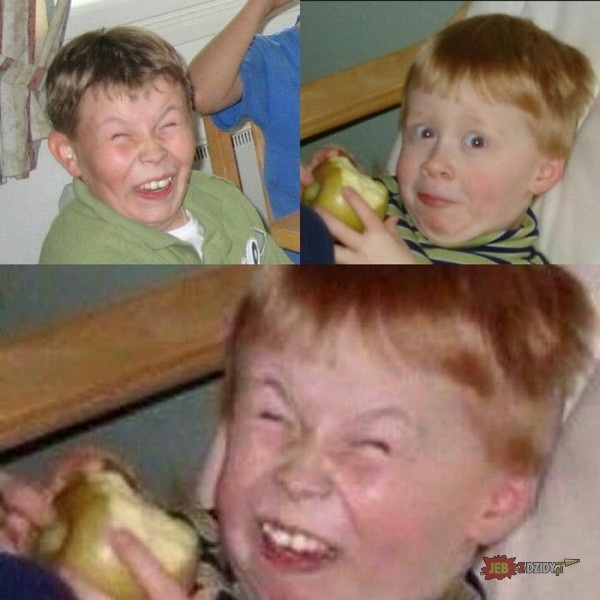 e9766746-6dfd-4d23-8483-a4eaf23bb651