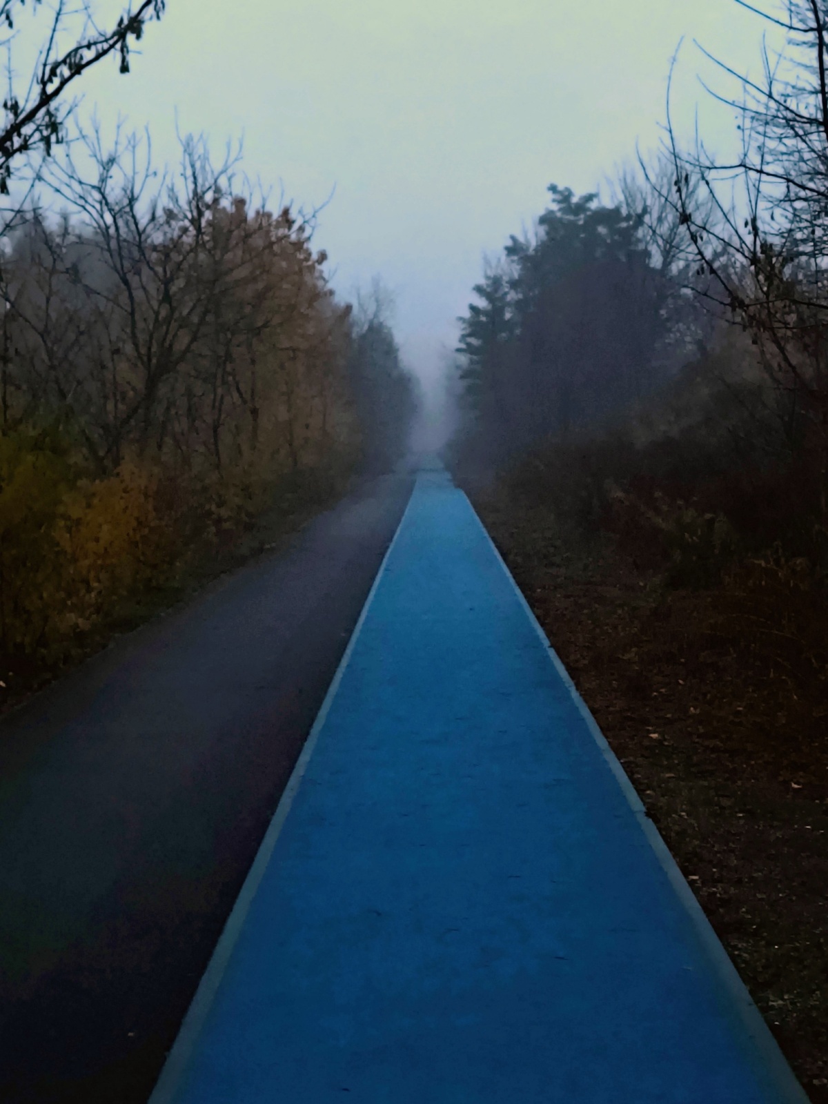 c9c22482-953f-4fe0-b860-7f4d36520c1c