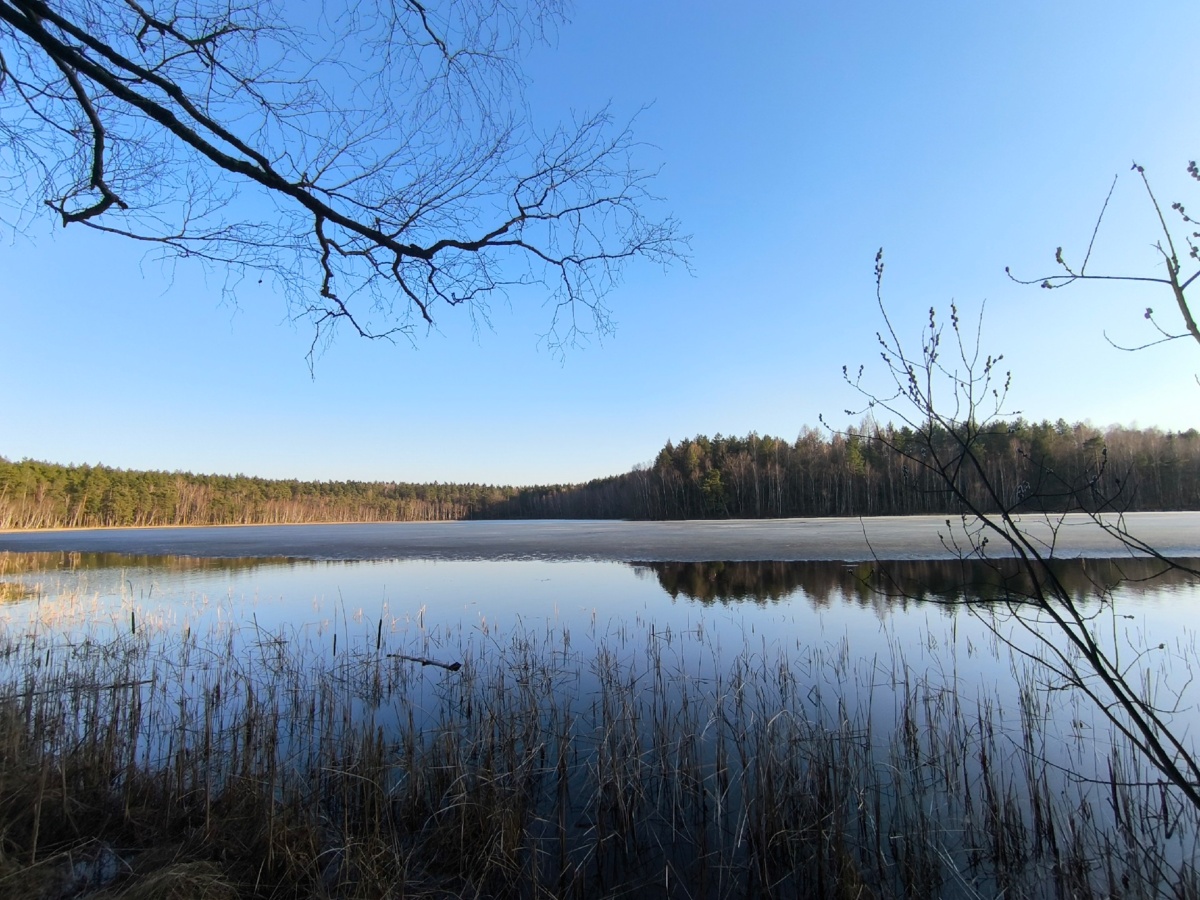 c49d1e47-216b-4389-99a7-5a76fc4b72e7