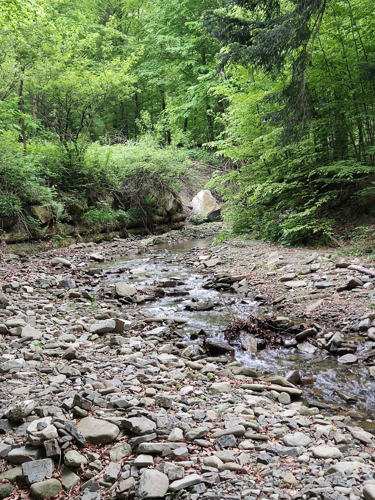 33f8cc8d-e26f-4559-9525-edece635a24e