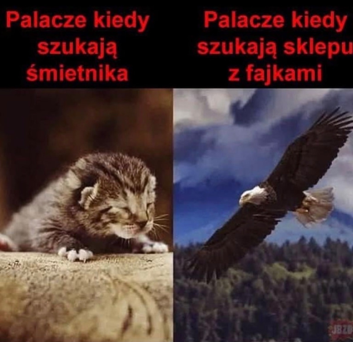 343eaeb4-efb5-4efb-a8bb-0896340c92a4