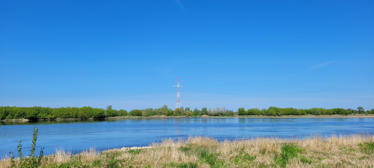 d232d2be-ea17-403d-8496-14488863874f