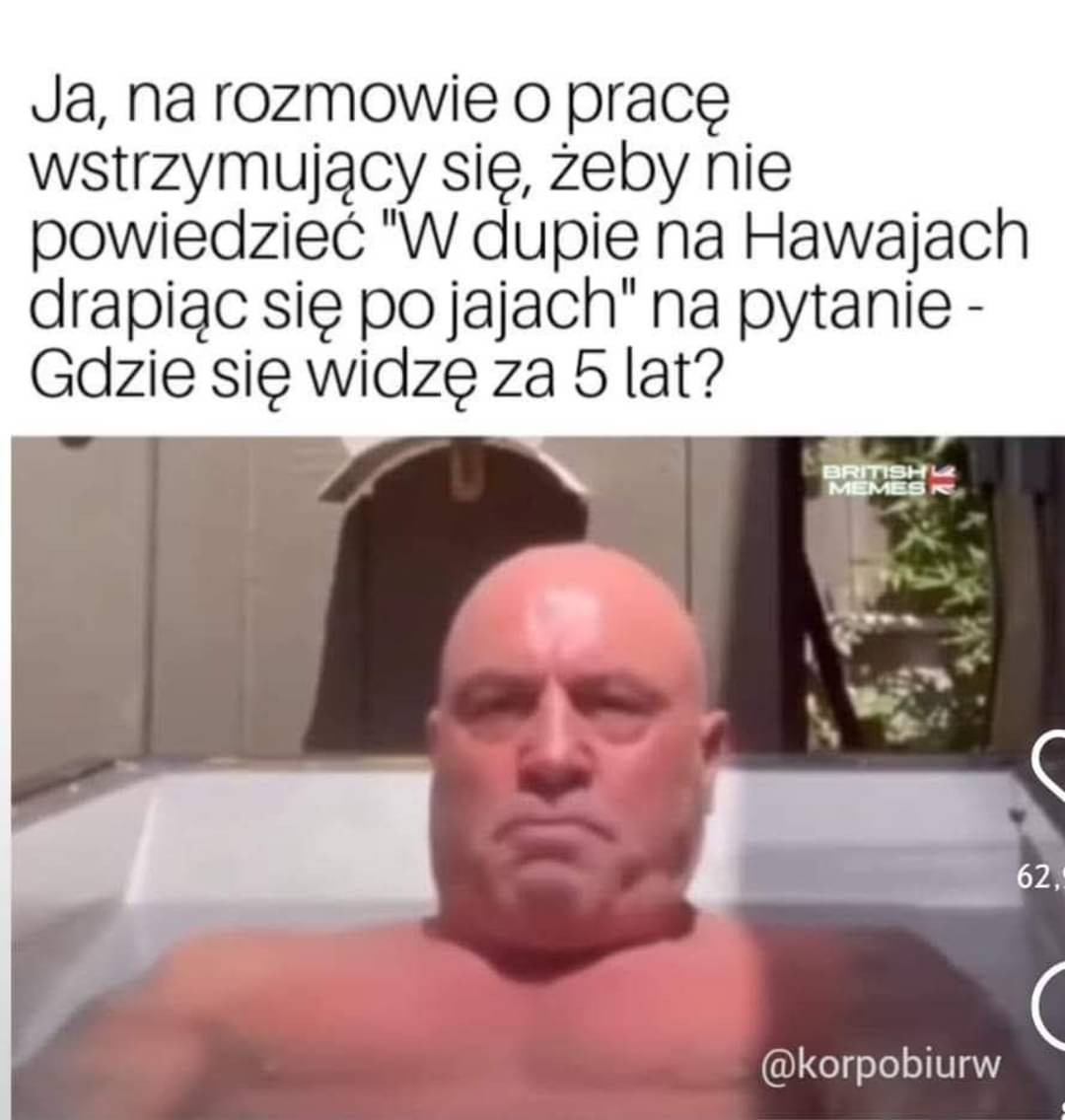 1bcfd366-f581-405c-af41-052e023c1cb5