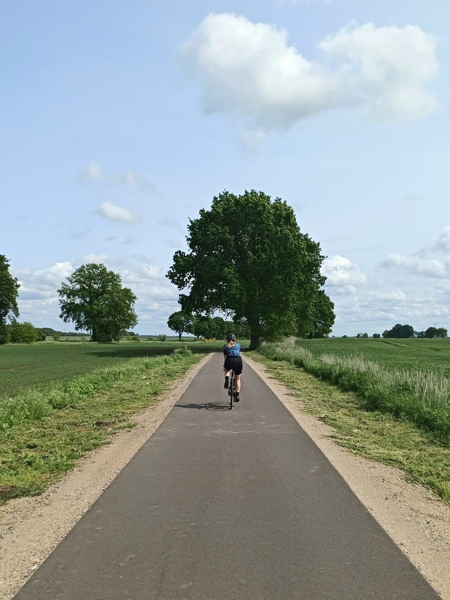 889d2797-dc28-428f-9427-85d0546344a6