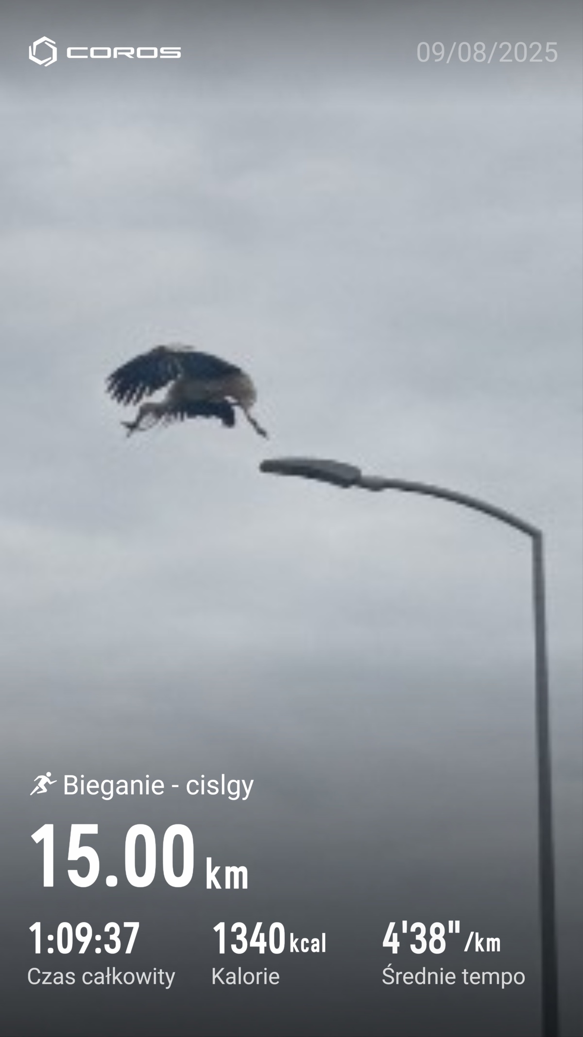 ee1c8110-dcfc-45a9-824d-16c0362e2e43