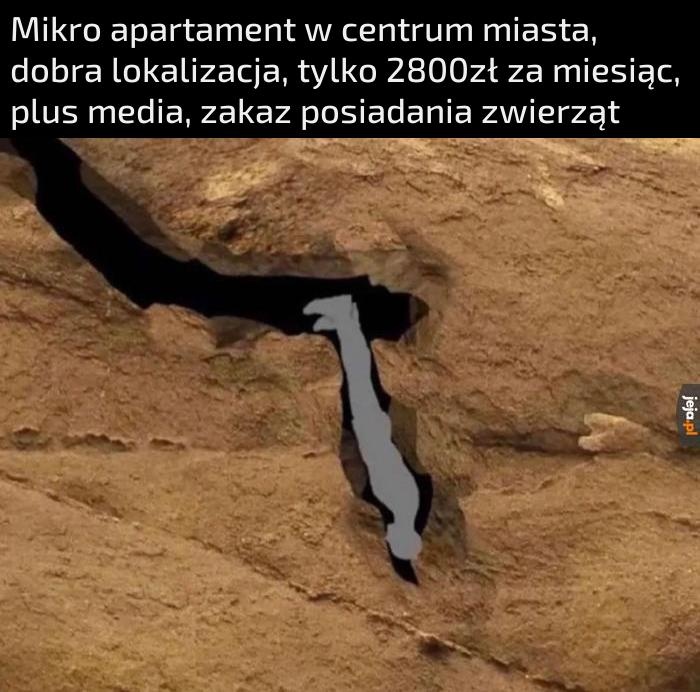 9f42c575-7ec8-45e2-b5f1-89fb6caae743