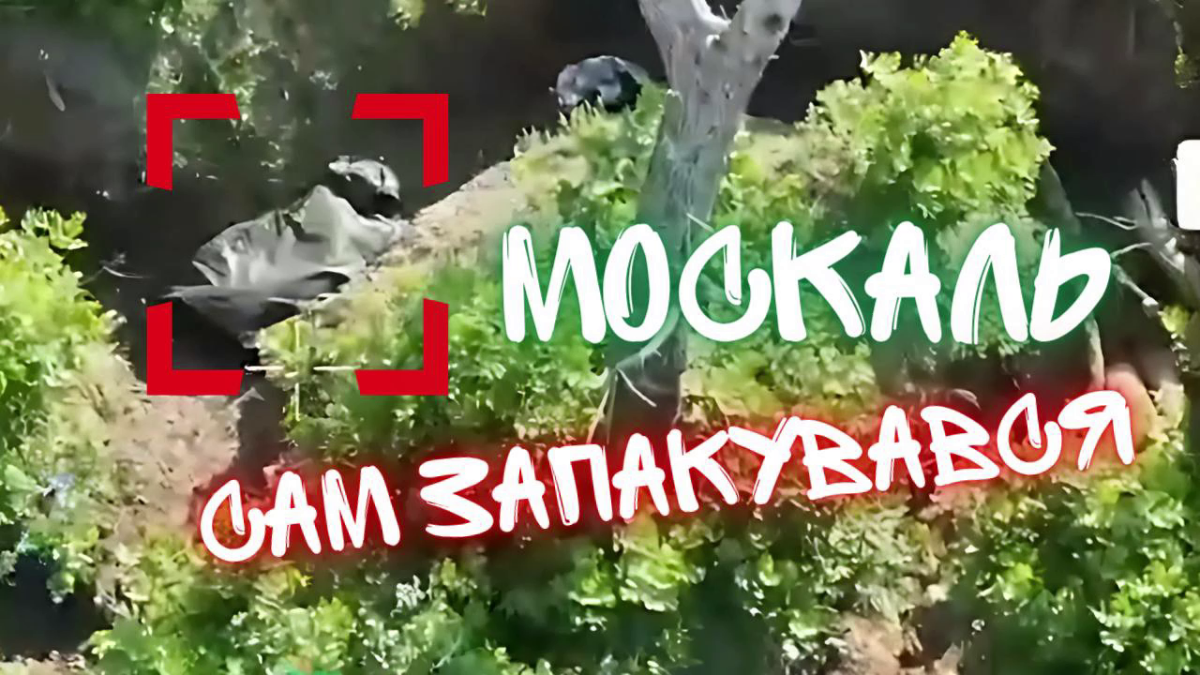 c0c9aacc-c9b7-42b7-9e2d-335990a1fa54