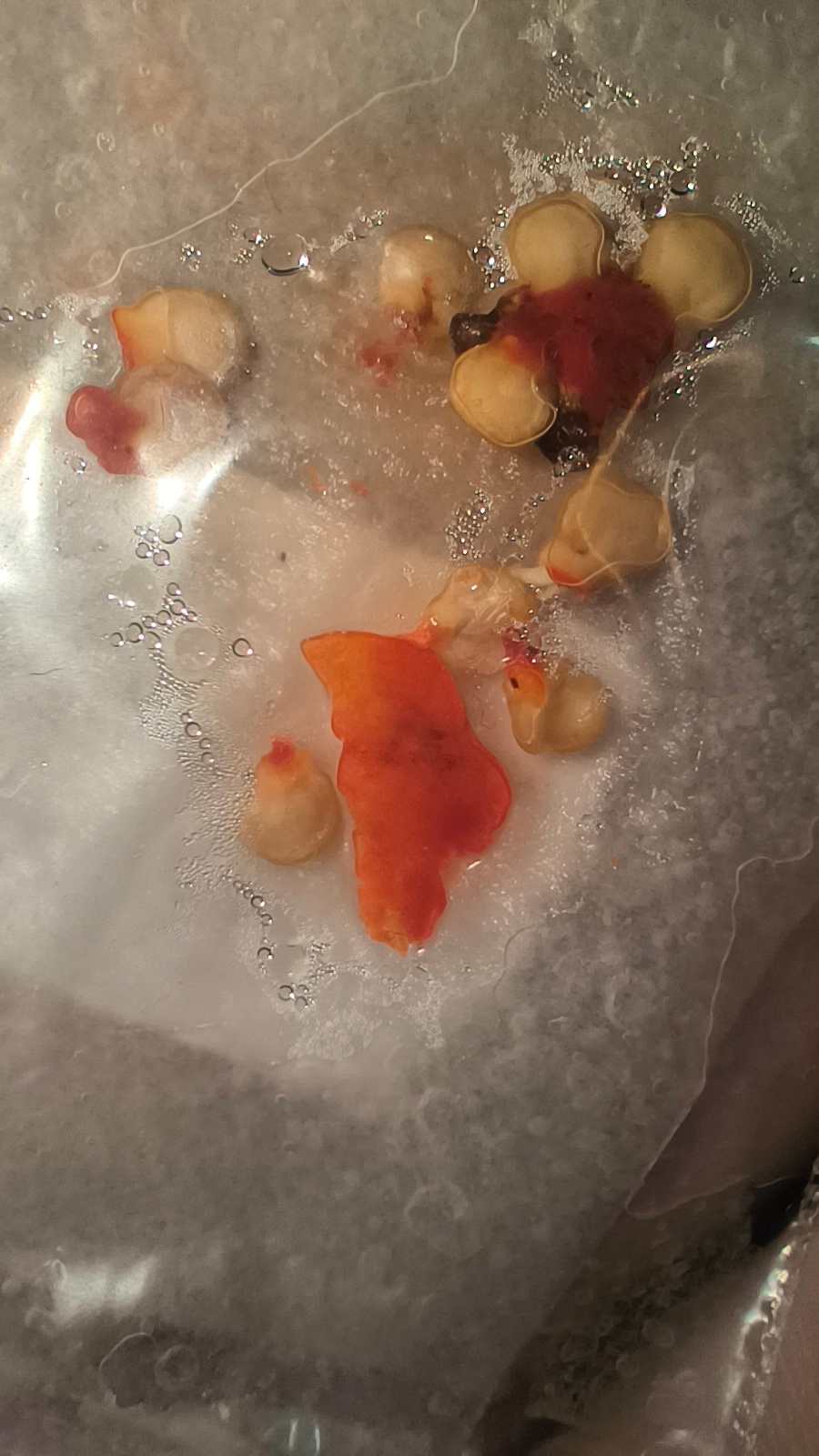 75801719-ddd9-4a0b-b01d-4f1ef47e6942