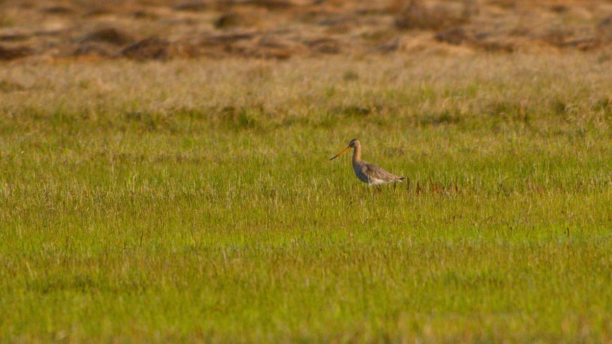 efe1f0fd-3fec-42a6-9b70-8323b7fa9ef9