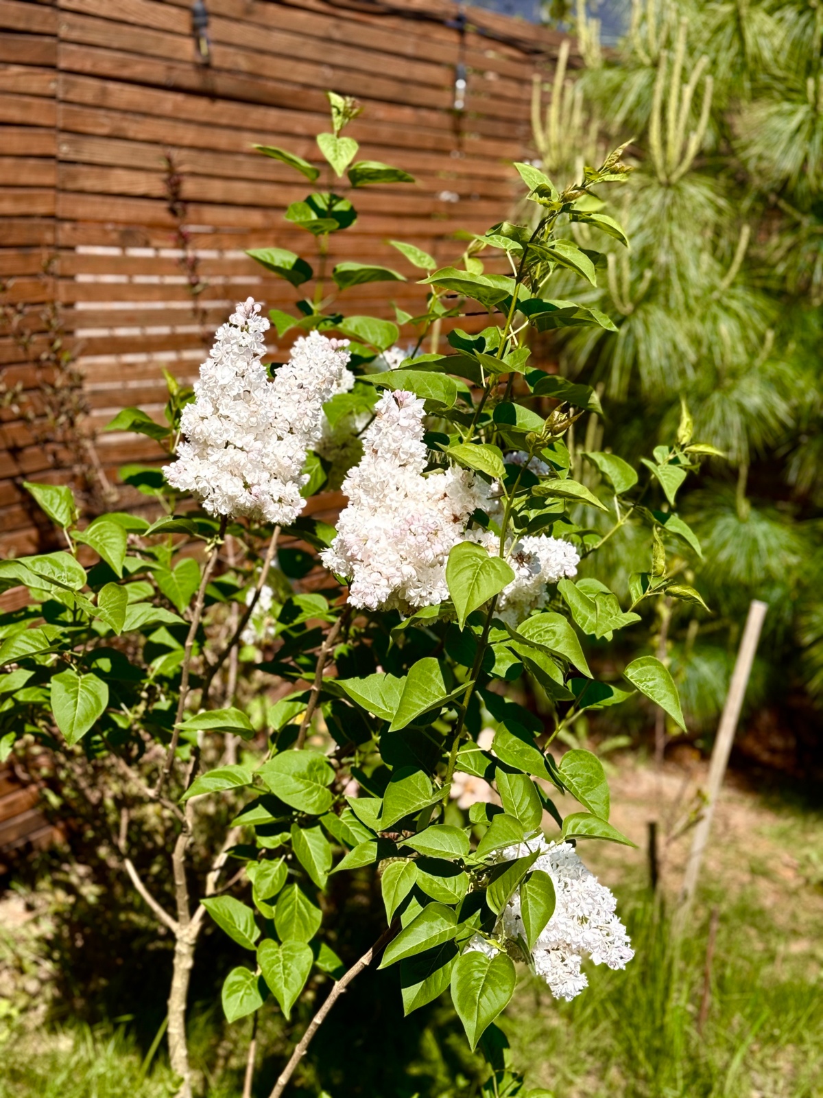 84eada53-5148-4056-a798-64c977685337