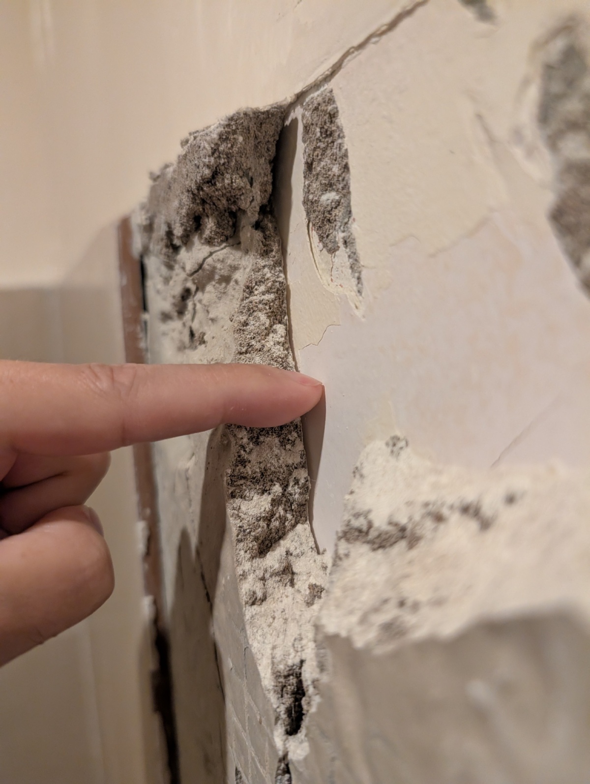 cde253a9-eef9-4299-af9f-d0b675e590d1