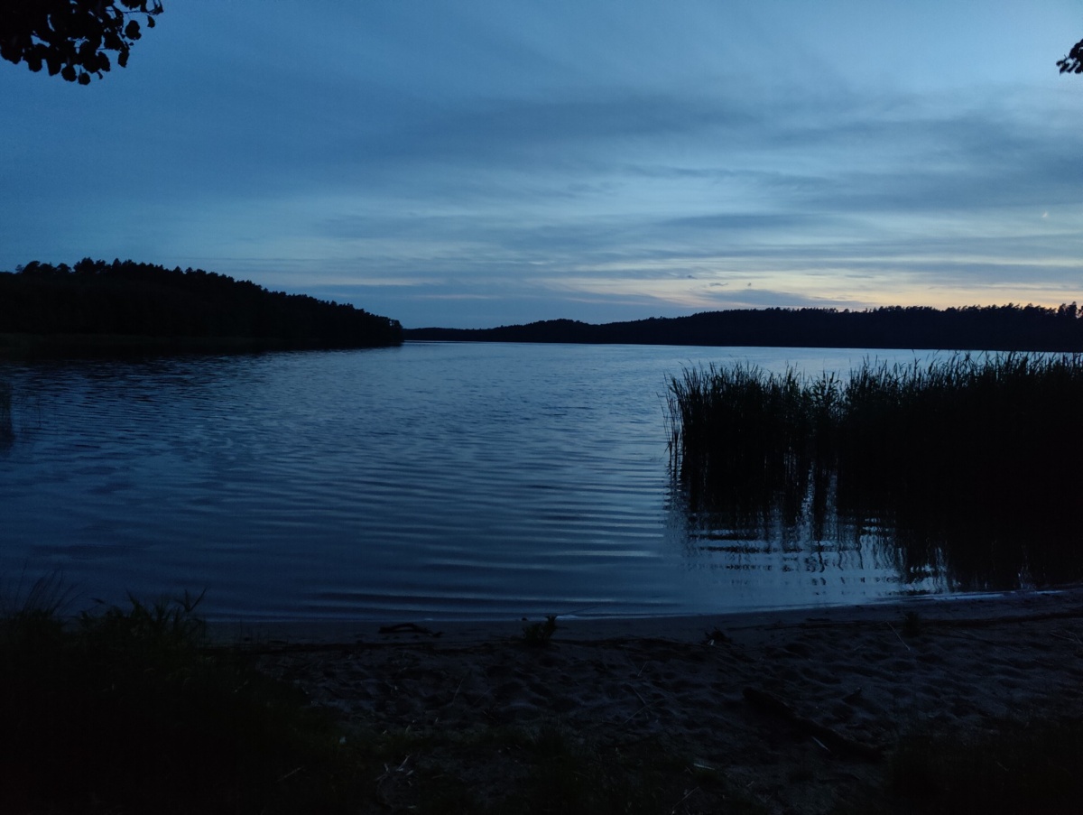 ae3b4aa3-8d7f-4dcc-a248-980f946097b4