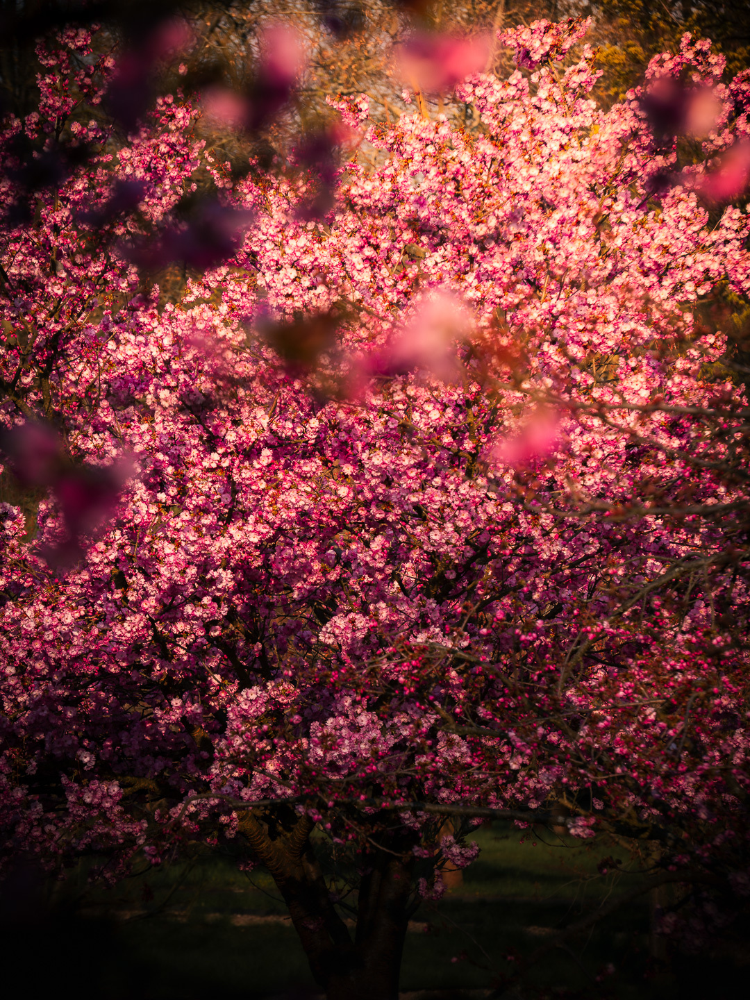 08b5a56c-f1b1-442e-ab1b-0c4ababcd73b