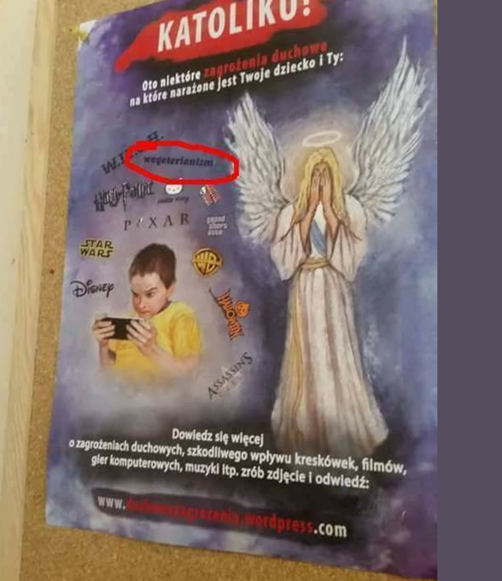 0f37a127-a143-4e6d-a0da-a4e2499e5490