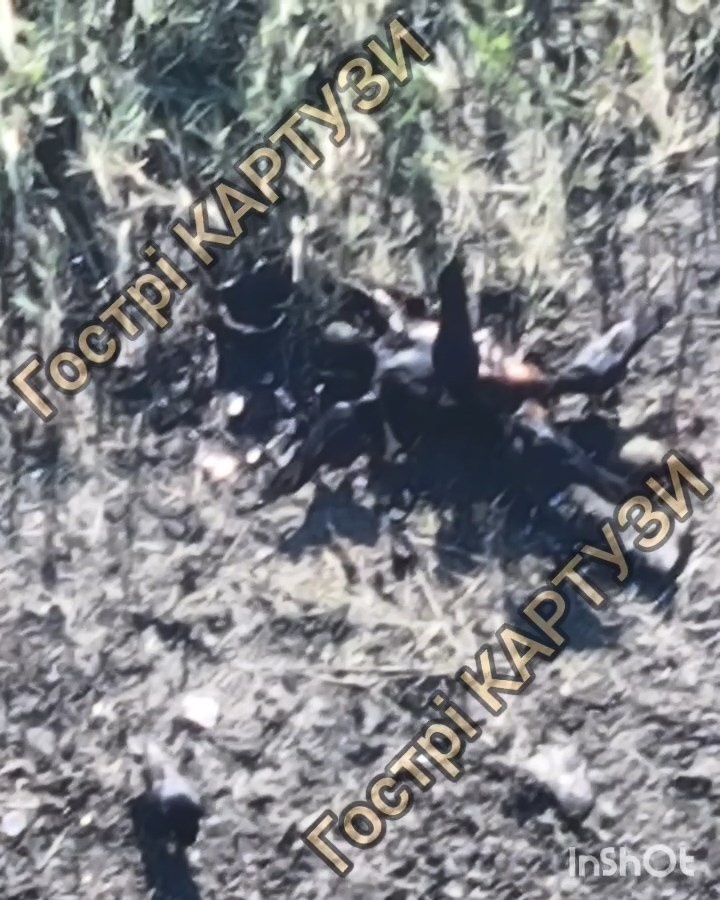 703d9ce9-101d-4513-b1e5-997f6ec01546