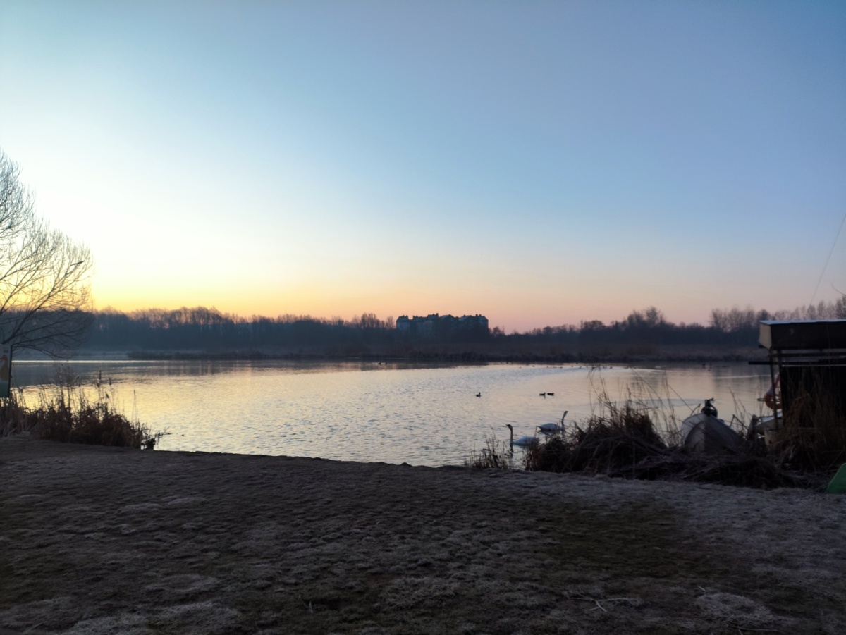 90fb43ba-62ea-485b-97b6-b64b5bed064e