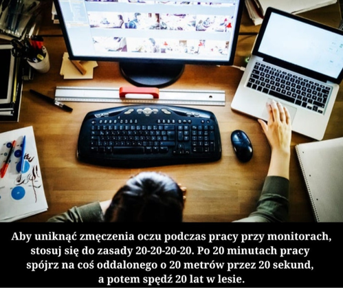 3050cdbe-a044-4ad8-b769-8d657cc49733